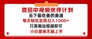 (12017期)微信中视频伙伴计划,仅靠搬运就能轻松实现日入500+,关键操作还简单,…-万象聊项目