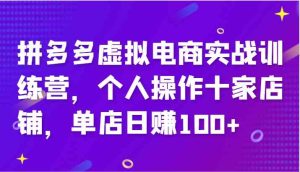 拼多多虚拟电商实战训练营,个人操作十家店铺,单店日赚100+-万象聊项目