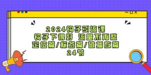 (12097期)2024钩子·引流课:钩子下得好 流量不再愁,定位篇/标签篇/破播放篇/24节-万象聊项目