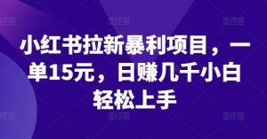 小红书拉新暴利项目,一单15元,日赚几千小白轻松上手-万象聊项目