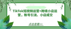 TikTok短视频运营+跨境小店运营,账号引流、小店成交-万象聊项目