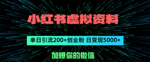 （12164期）小红书虚拟资料日引流200+创业粉，单日变现5000+-万象聊项目