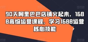 90天阿里巴巴店铺火起来,1688高级运营课程,学习1688运营核心技能-万象聊项目