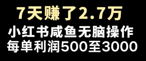 七天赚了2.7万！每单利润最少500+，轻松月入5万+小白有手就行-万象聊项目