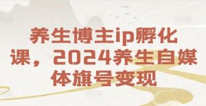 养生博主ip孵化课,2024养生自媒体旗号变现-万象聊项目