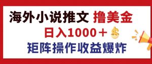 (12333期)最新海外小说推文撸美金,日入1000+ 蓝海市场,矩阵放大收益爆炸-万象聊项目