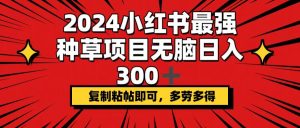(12336期)2024小红书最强种草项目,无脑日入300+,复制粘帖即可,多劳多得-万象聊项目