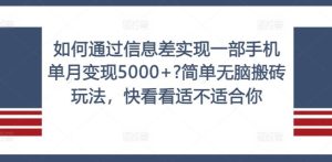 如何通过信息差实现一部手机单月变现5000+?简单无脑搬砖玩法,快看看适不适合你【揭秘】-万象聊项目