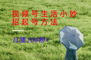 视频号生活小妙招分享赛道, 起号涨粉新方法,日涨100粉-万象聊项目
