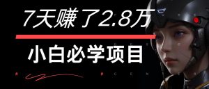 7天赚了2.8万!每单利润最少500+,轻松月入7万+小白有手就行-万象聊项目