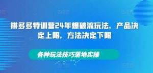 拼多多特训营24年爆破流玩法,产品决定上限,方法决定下限,各种玩法技巧落地实操-万象聊项目
