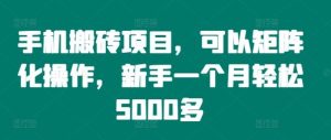 手机搬砖项目,可以矩阵化操作,新手一个月轻松5000多-万象聊项目