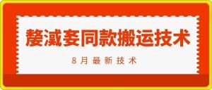 抖音96万粉丝账号【嫠㵄㚣】同款搬运技术-万象聊项目