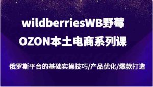 wildberriesWB野莓/OZON本土电商系列课，俄罗斯平台的基础实操技巧/产品优化/爆款打造-万象聊项目
