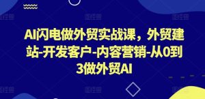 AI闪电做外贸实战课，​外贸建站-开发客户-内容营销-从0到3做外贸AI(更新)-万象聊项目