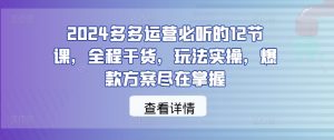 2024多多运营必听的12节课,全程干货,玩法实操,爆款方案尽在掌握-万象聊项目