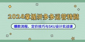 2024掌握拼多多运营精髓：爆款流程、定价技巧与SKU设计实战课-万象聊项目