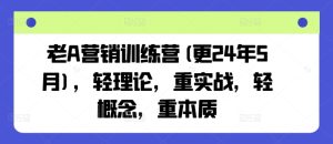 老A营销训练营(更24年9月),轻理论,重实战,轻概念,重本质-万象聊项目