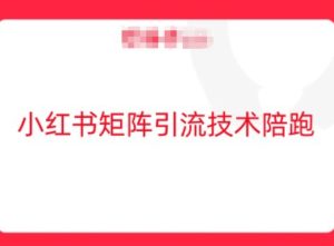 小红书矩阵引流技术,教大家玩转小红书流量-万象聊项目