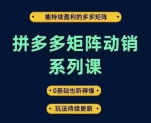 拼多多矩阵动销系列课,能持续盈利的多多矩阵,0基础也听得懂,玩法持续更新-万象聊项目