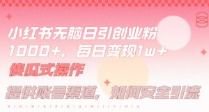 小红书无脑每日引流创业粉500+,小白每天只花半小时,躺赚长尾收益【揭秘】-万象聊项目