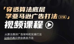 穿透算法底层，学亚马逊广告打法SP篇，从算法侧讲广告架构和实操打法，让你不再只学会表层方法-万象聊项目