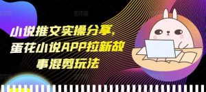 小说推文实操分享，蛋花小说APP拉新故事混剪玩法-万象聊项目