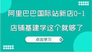 阿里巴巴国际站新店0-1，个人实践实操录制从0-1基建，店铺基建学这个就够了-万象聊项目