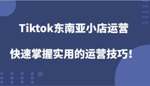 Tiktok东南亚小店运营，快速掌握实用的运营技巧！-万象聊项目