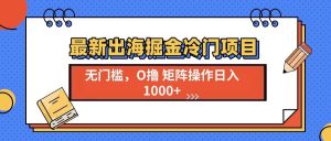 （13672期）最新出海掘金冷门项目，单号日入1000+-万象聊项目