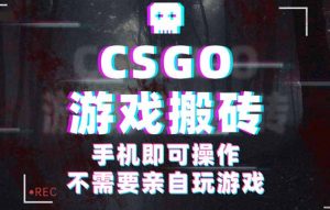 CSGO游戏挂机捡漏，单日扫货500+，年底小高峰上车可吃肉，手机即可操作…-万象聊项目