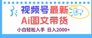 视频号最新AI图文带货,每天几分钟,小白轻松入手,日入2000+-万象聊项目
