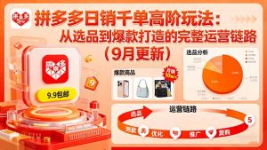 拼多多日销千单高阶玩法：从选品到爆款打造的完整运营链路(9月更新-万象聊项目