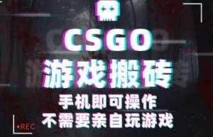 CSGO游戏挂G捡漏,单日扫货5张+,年底小高峰上车可吃肉,手机即可操作,兼职副业创业网创【揭秘】-万象聊项目