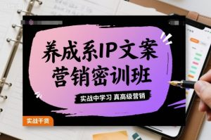 养成系IP文案营销密训班,实战中学习真高级营销-万象聊项目
