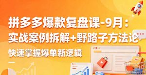 拼多多爆款复盘课-9月：实战案例拆解+野路子方法论，快速掌握爆单新逻辑-万象聊项目