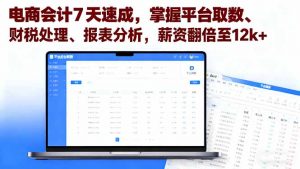 电商会计7天速成，掌握平台取数、财税处理、报表分析，薪资翻倍至12k+-万象聊项目