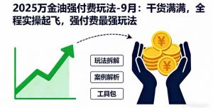 2025万金油强付费玩法-9月:干货满满,全程实操起飞,强付费最强玩法-万象聊项目