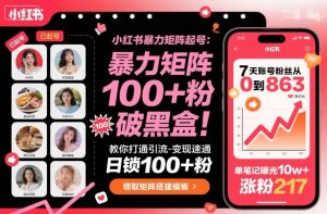 小红书暴力矩阵起号，教你打通引流-变现速通，日锁100+粉，破流量黑盒-万象聊项目