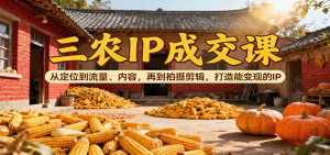 三农IP成交课：从定位到流量、内容，再到拍摄剪辑，打造能变现的IP-万象聊项目