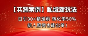 【实测案例】私域新玩法，日引30+精准粉，转化率50%，新人照做也能出单！-万象聊项目