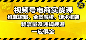 视频号电商实战课：推流逻辑、全案解析，话术框架，稳流量及违规规避等-万象聊项目