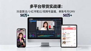 多平台带货实战课18.0：抖音算法/小红书笔记/视频号直播，单账号月GMV50w+-万象聊项目