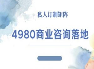 4980商业咨询师落地课程-ip运营高客单教程-万象聊项目
