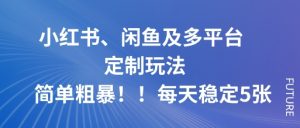 小红书、闲鱼及多平台定制玩法简单粗暴！每天稳定5张-万象聊项目