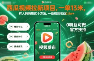 西瓜视频拉新项目，一单13米，有人悄悄用这个方法，一条视频收益2.5w+(附详细教程)-万象聊项目