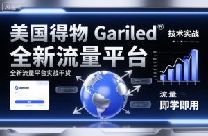美国得物Gariled技术实战，全新流量平台实战干货，即学即用-万象聊项目