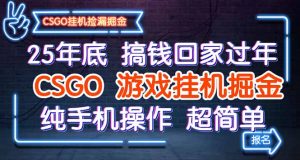 25年底搞钱回家过年，CSGO游戏挂机掘金，纯手机操作超简单-万象聊项目