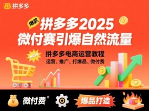 拼多多2025微付费引爆自然流量,拼多多电商运营教程,运营、推广、打爆品、微付费(更新)-万象聊项目