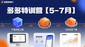 多多特训营,产品决定上限,方法决定下限,各种玩法技巧落地实操(更新)-万象聊项目
